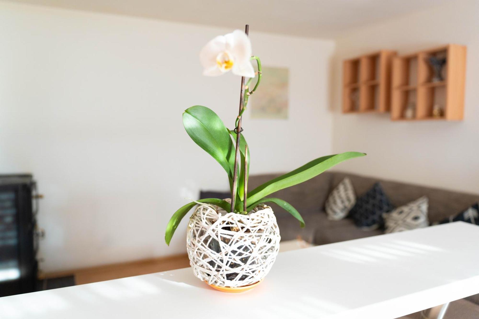 Apartman Lili Knin Ngoại thất bức ảnh